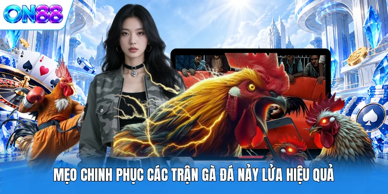 Mẹo chinh phục các trận gà đá nảy lửa hiệu quả
