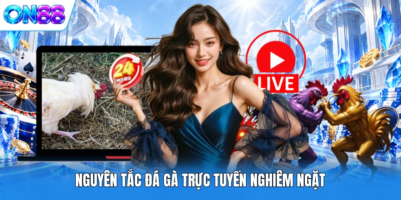 Nguyên tắc đá gà trực tuyến nghiêm ngặt